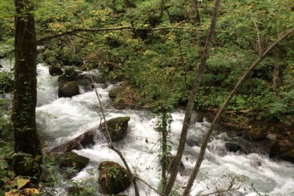 %e5%a5%a5%e5%85%a5%e7%80%ac%e6%b8%93%e6%b5%81%ef%bc%90